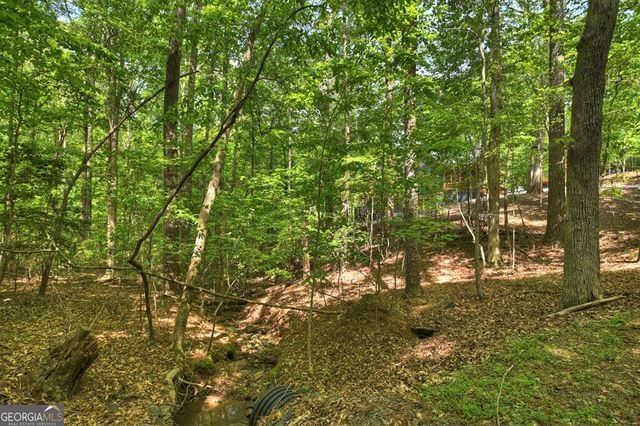 40 Cadet Court, Ellijay, GA 30540