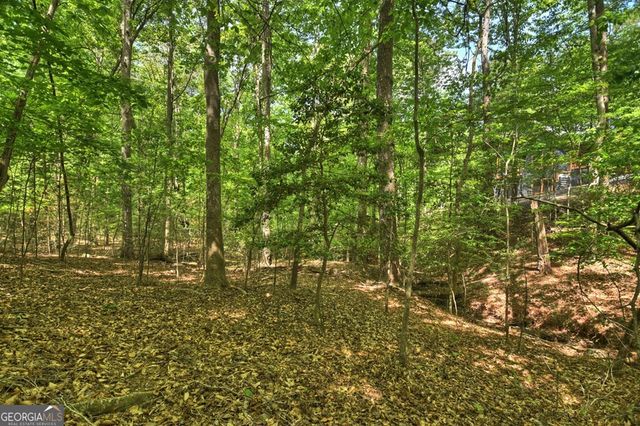 40 Cadet Court, Ellijay, GA 30540