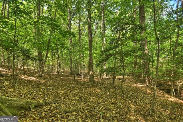40 Cadet Court, Ellijay, GA 30540