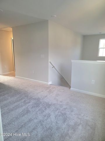 1067 Tripletail Drive NW Atlanta Lot 119, Sunset Beach, NC 28468