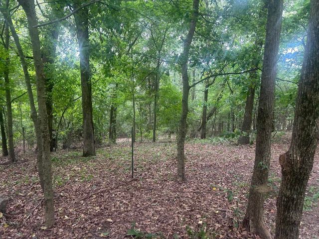 672 Highway 225 E, Greenbrier, AR 72058