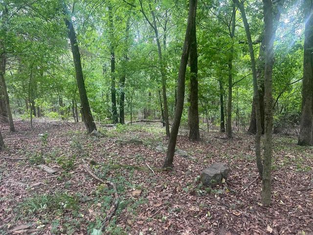 672 Highway 225 E, Greenbrier, AR 72058