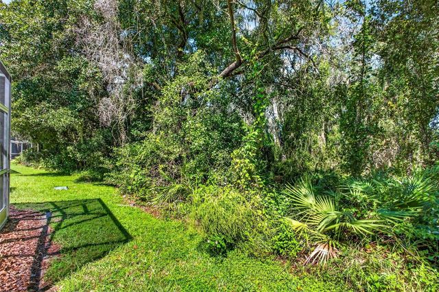 5815 FISHHAWK RIDGE DRIVE, Lithia, FL 33547