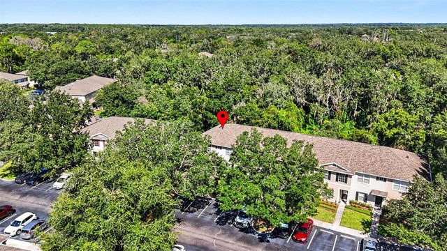5815 FISHHAWK RIDGE DRIVE, Lithia, FL 33547