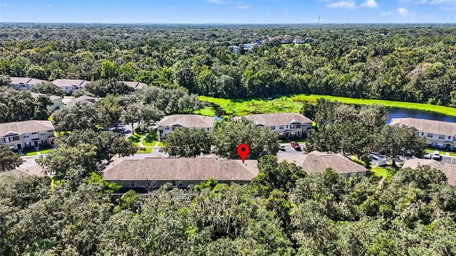 5815 FISHHAWK RIDGE DRIVE, Lithia, FL 33547
