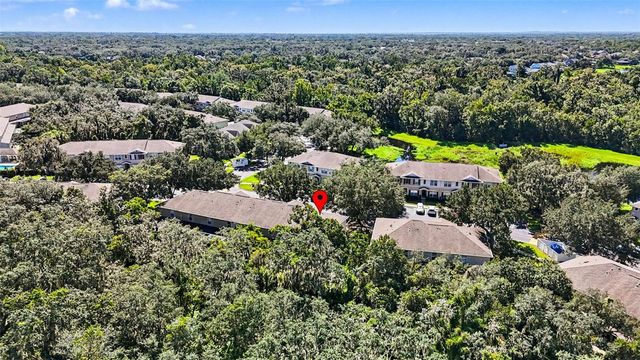 5815 FISHHAWK RIDGE DRIVE, Lithia, FL 33547