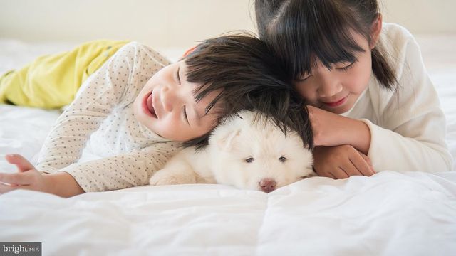 131 MALIBU DR, Egg Harbor Township, NJ 08234