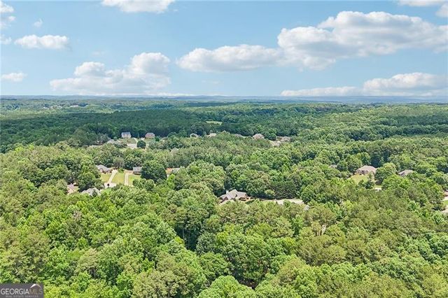 1319 Crumbley Road, Mcdonough, GA 30252