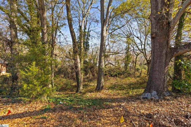 9 Quarter Court, Greenville, FL 29607