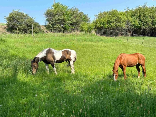 952 Carothers Rd, Pullman, WA 99163