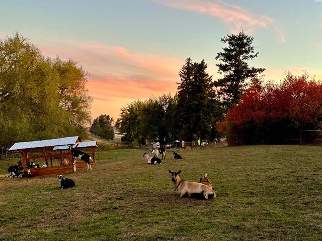 952 Carothers Rd, Pullman, WA 99163