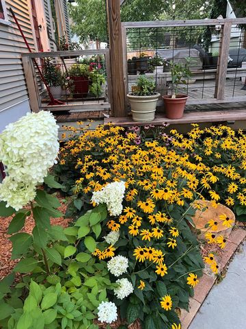 1666 Hubbard Avenue, Saint Paul, MN 55104