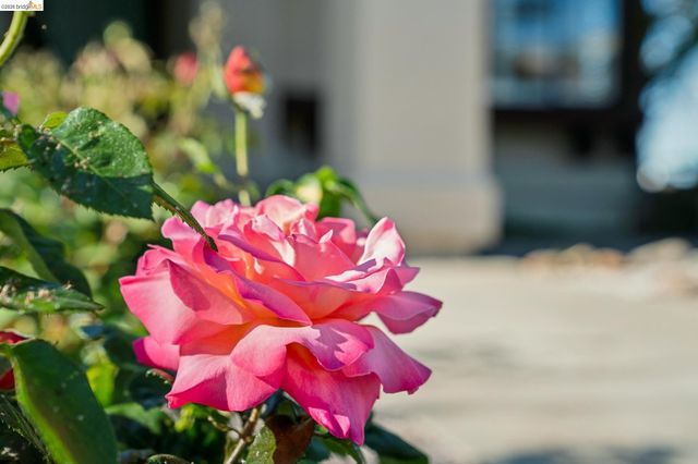 211 Meadowlark Way, Hercules, CA 94547