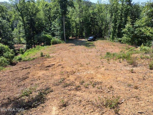 Ashe Cabin Hollow Rd, Harriman, TN 37748