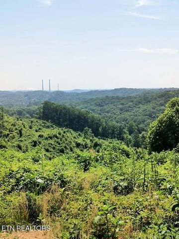 Ashe Cabin Hollow Rd, Harriman, TN 37748