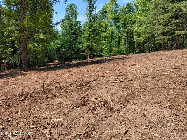 Ashe Cabin Hollow Rd, Harriman, TN 37748