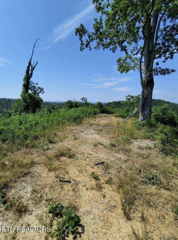 Ashe Cabin Hollow Rd, Harriman, TN 37748