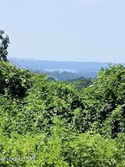 Ashe Cabin Hollow Rd, Harriman, TN 37748
