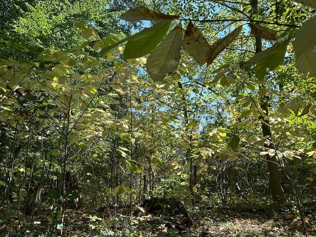 56797 M-40, Marcellus, MI 49067