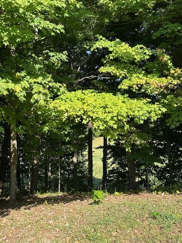 56797 M-40, Marcellus, MI 49067