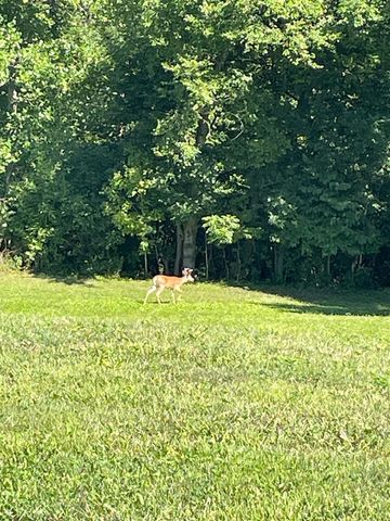 56797 M-40, Marcellus, MI 49067