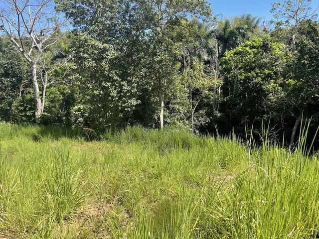 JACINTO, Caguas, PR 00725