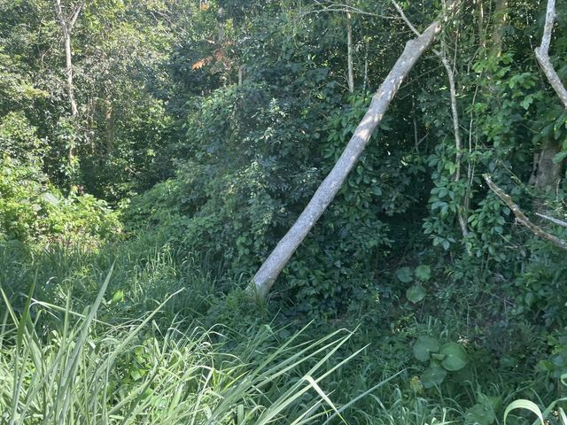 JACINTO, Caguas, PR 00725