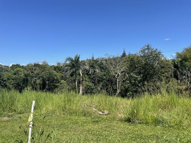 JACINTO, Caguas, PR 00725