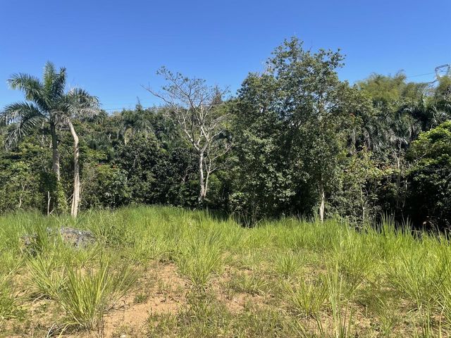 JACINTO, Caguas, PR 00725