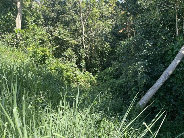 JACINTO, Caguas, PR 00725