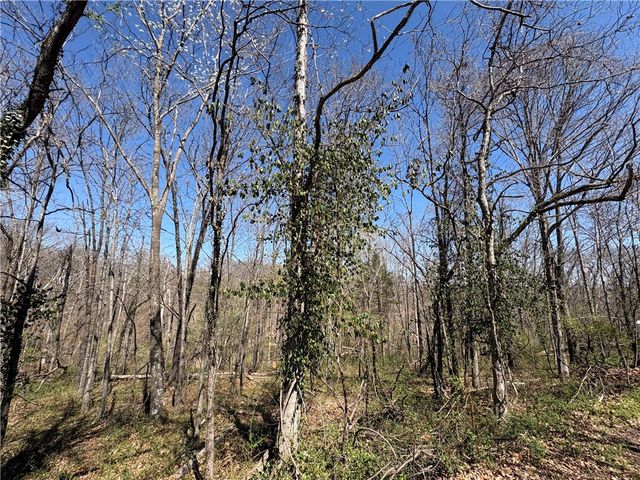 Lot 41 Auldearn Circle, Bella Vista, AR 72715