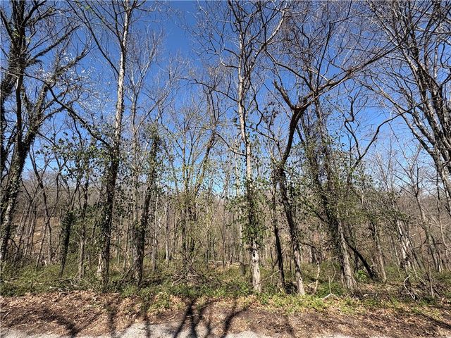 Lot 41 Auldearn Circle, Bella Vista, AR 72715