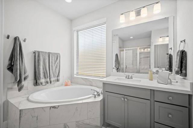 298 Sky Top Drive Drive, Montgomery, TX 77316