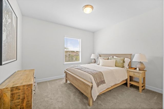 298 Sky Top Drive Drive, Montgomery, TX 77316