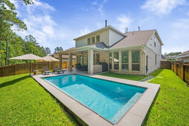298 Sky Top Drive Drive, Montgomery, TX 77316