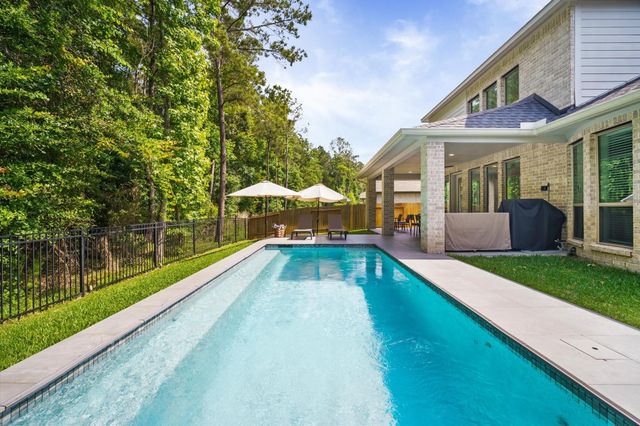298 Sky Top Drive Drive, Montgomery, TX 77316