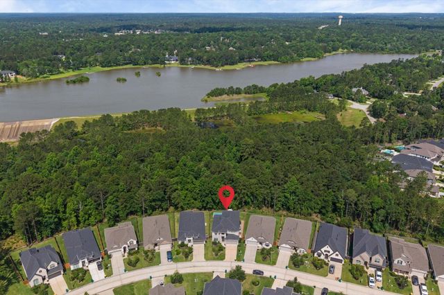 298 Sky Top Drive Drive, Montgomery, TX 77316