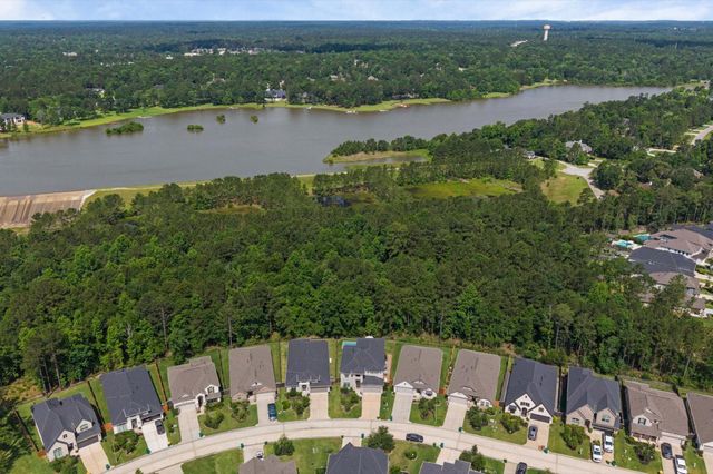 298 Sky Top Drive Drive, Montgomery, TX 77316