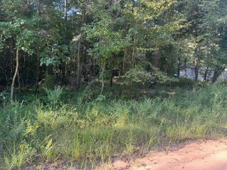 0 L C Herschap Lane, Livingston, TX 77351