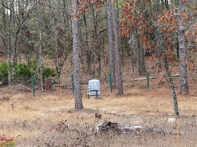 TBD SW 121ST TERRACE, Dunnellon, FL 34432