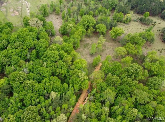 0 Pugh Road, Mathews, AL 36052