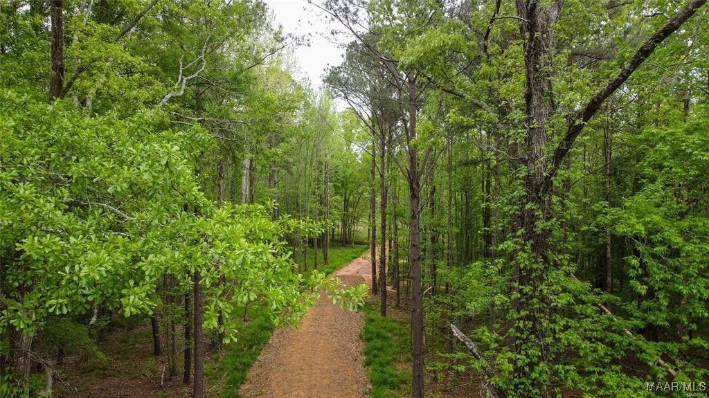 0 Pugh Road, Mathews, AL 36052