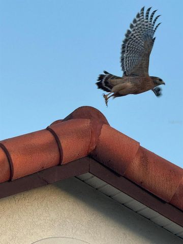 4054 CADDIE DRIVE E, Bradenton, FL 34203