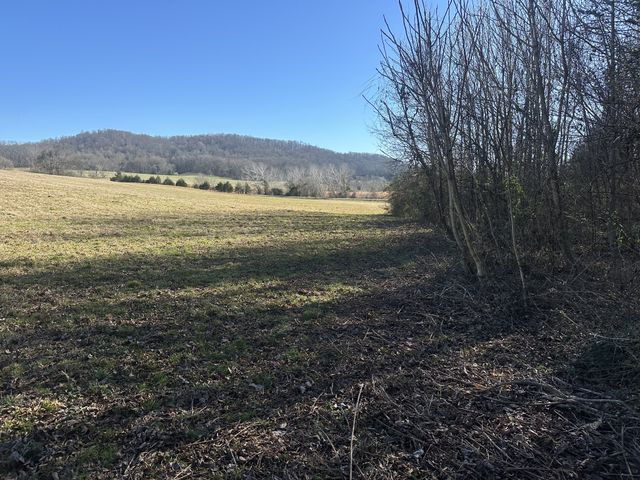 0 Gum Springs Mountain Rd, Sparta, TN 38583