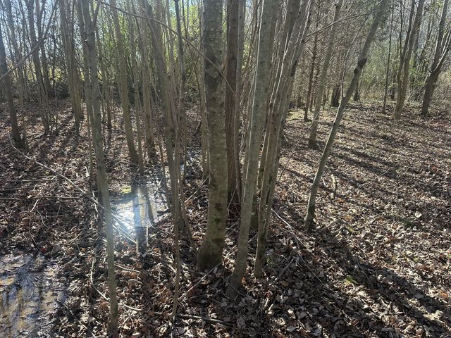 0 Gum Springs Mountain Rd, Sparta, TN 38583