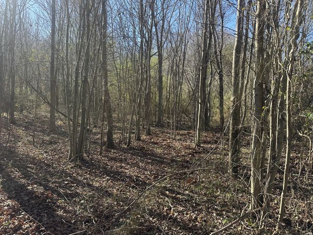 0 Gum Springs Mountain Rd, Sparta, TN 38583