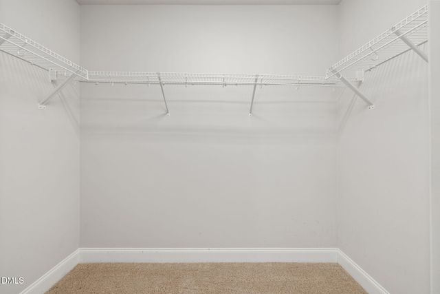 446 Mallard Loop Drive, Clayton, NC 27527