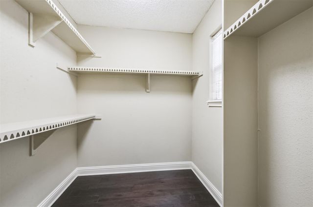 14111 Misty Meadow Lane, Houston, TX 77079