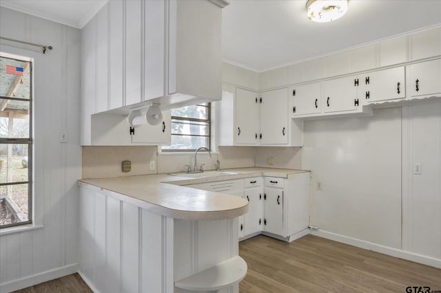 11619 CR 4331, Larue, TX 75770