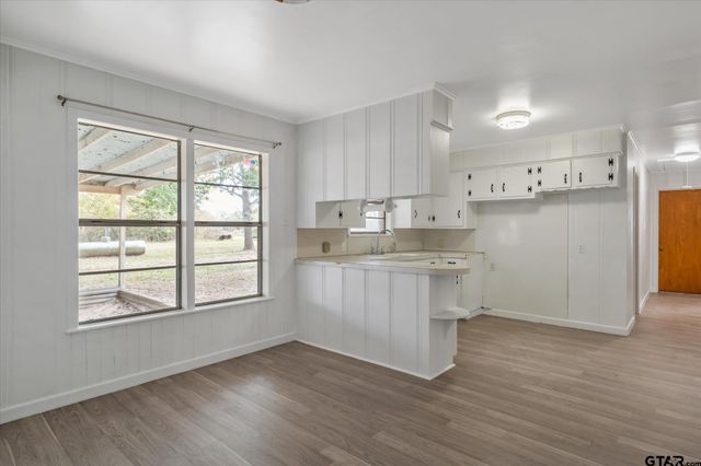 11619 CR 4331, Larue, TX 75770